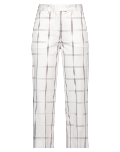 Circolo 1901 Pants In Brown