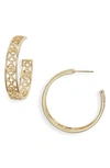 Kendra Scott Kelly Hoop Earrings In Gold
