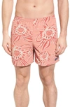 Patagonia Baggies 5-inch Swim Trunks In Cereus Flower: Peak Pink