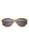 Ted Baker 56mm Cat Eye Sunglasses In Amber