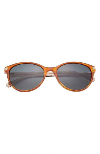 Ted Baker 56mm Cat Eye Sunglasses In Amber