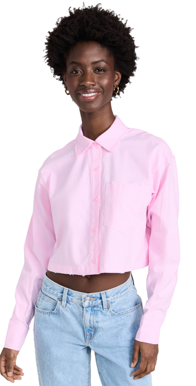 Good American Distressed Cotton Blend Crop Shirt In Pink