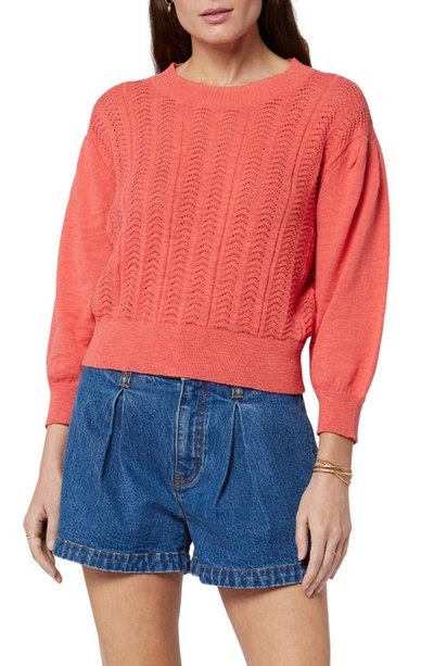 Joie Pointelle Organic Cotton Sweater In Spiced Coral