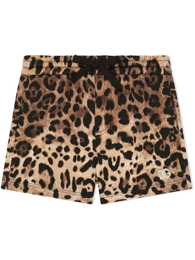 Dolce & Gabbana Babies' Leopard-print Shorts In Animal Print