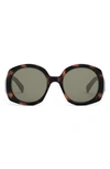 Celine Bold 3 Dots 53mm Round Sunglasses In Colored Havana / Green