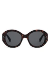 Celine Bold 3 Dots 53mm Polarized Gradient Round Sunglasses In Dark Havana