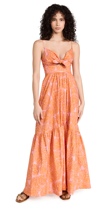 A.l.c Laura Printed Maxi Dress In Citrouille/ Rose