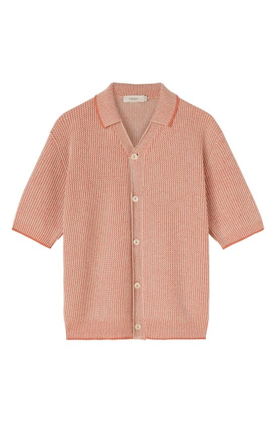 Agnona Cotton & Cashmere Button-up Polo Sweater In Coral