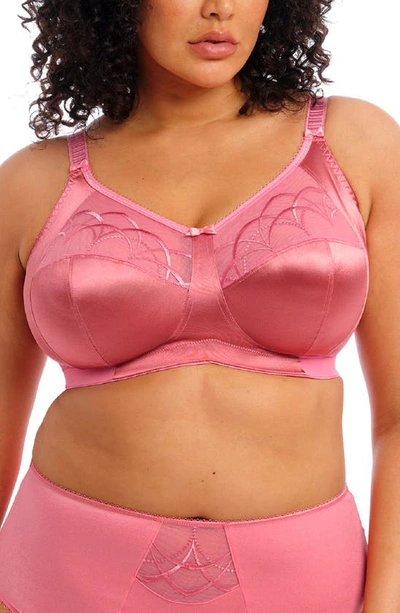Elomi Cate Full Figure Underwire Lace Cup Bra El4030, Online Only In Desert Rose