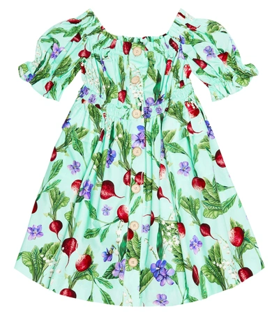 Dolce & Gabbana Babies' Girls Blue Cotton Poplin Vegetable Dress In Ravanelli F.celeste