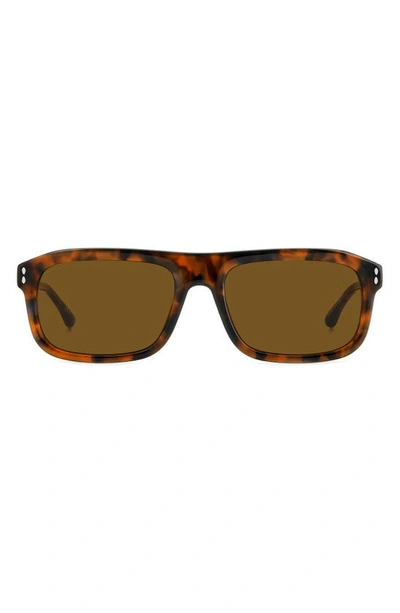 Isabel Marant In Love 56mm Flat Top Sunglasses In Havana Brown