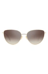 Kate Spade 55mm Hailey/g/s Cat Eye Sunglasses In Gold/ Brown Sh Silver Mr