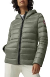 Canada Goose Cypress Hooded Down Jacket In Grey