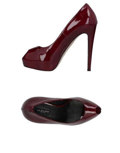 Albano Pump In Maroon