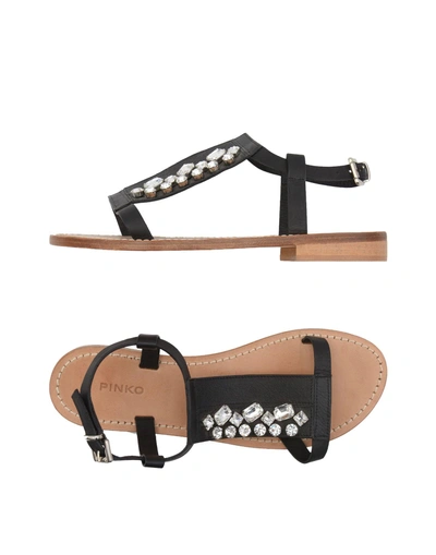 Pinko Sandals In Black