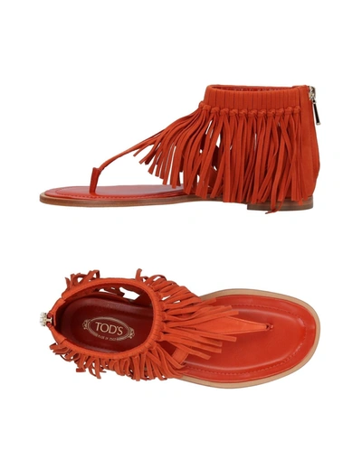 Tod's Toe Strap Sandals In Orange