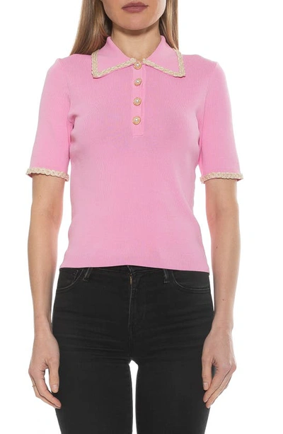 Alexia Admor Collared Knit Short Sleeve Top In Pink