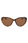 Cole Haan 54mm Polarized Cat Eye Sunglasses In Tortoise