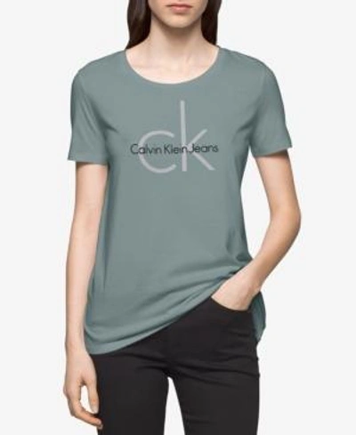 Calvin Klein Jeans Est.1978 Logo Graphic T-shirt In Artic Spray