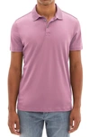 Robert Barakett Georgia Pima Cotton Polo In Fuchsia