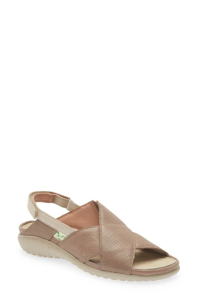 Naot Niho Sandal In Stone/ Ivory