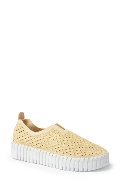 Ilse Jacobsen Tulip Sneaker In Double Cream