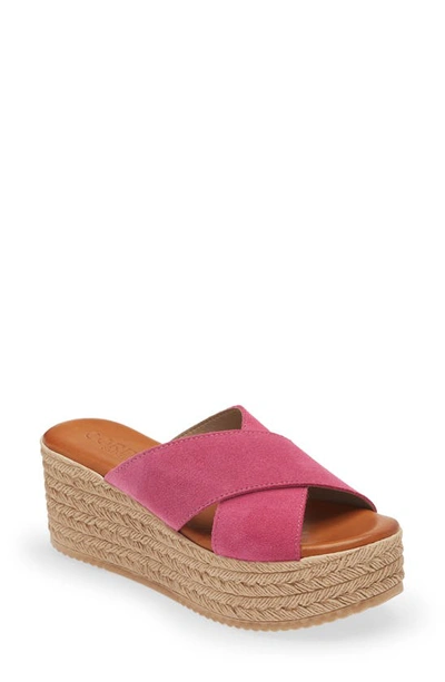 Cordani Bella Espadrille Wedge Sandal In Fucshia Suede