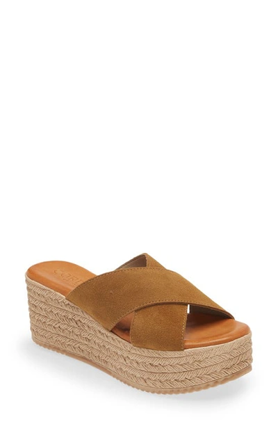 Cordani Bella Espadrille Wedge Sandal In Cuero Suede