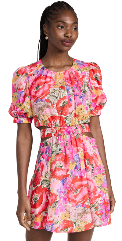 Amur Cole Floral Cutout Minidress In Poppy Field Pastel Floral