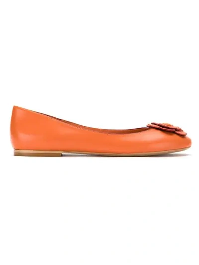 Sarah Chofakian Floral Applique Ballerinas In Yellow