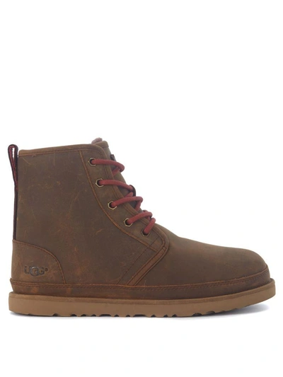 Ugg Harkley Brown Chukka Ankle Boots In Marrone