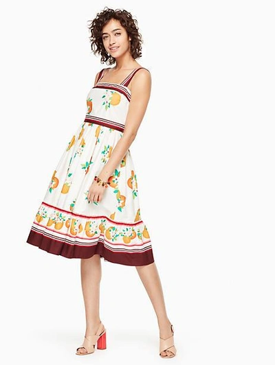 kate spade fit and flare dress Garden Bouquet Fit And Flare Dress
