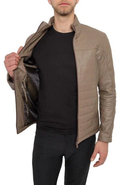 Pino By Pinoporte Quilted Leather Jacket In Taupe