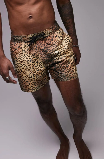 Topman Animal Print Swim Shorts-multi