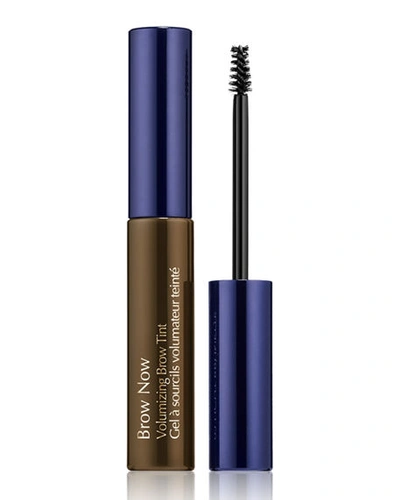 Estée Lauder Brow Now Volumizing Brow Tint In Brunette