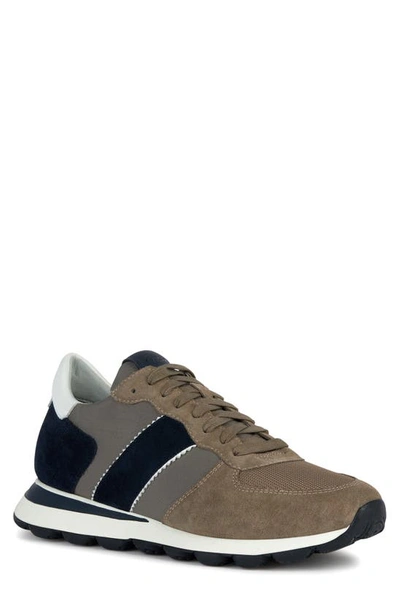 Geox Spherica Sneaker In Taupe/ Navy