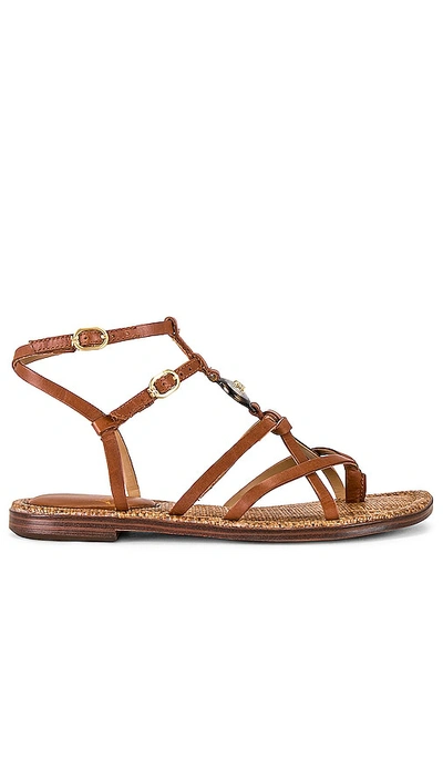 Sam Edelman Women's Gwen Sandal - Strappy Gladiator Leather Sandals With Almond Toe