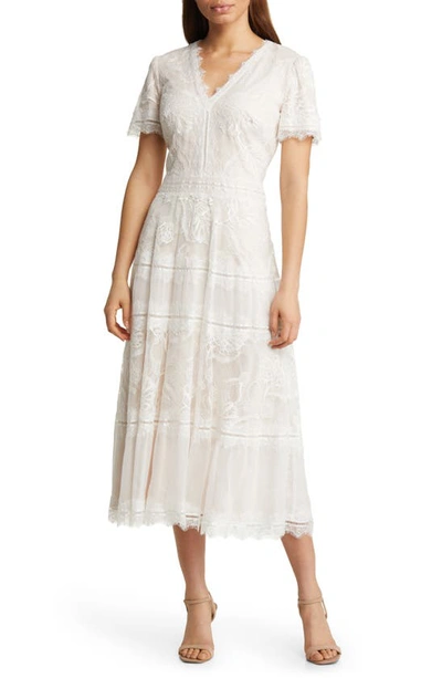 Tadashi Shoji Lace & Mesh Midi Cocktail Dress In Ivory/ Petal