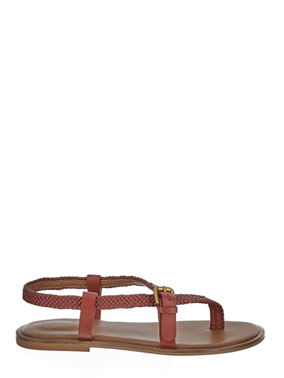 See By Chloé Nola Flat Sandal In Brown