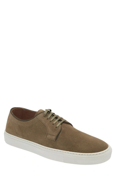 Ted Baker Kantens Hybrid Sneaker In Dark Green