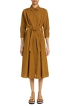 Max Mara Flavio Cotton Poplin Shirt Dress In Brown