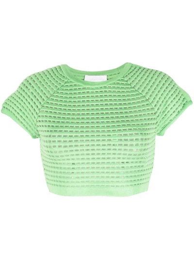 Genny Open-knit Cropped Top In Green
