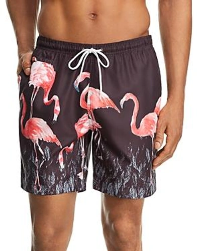 Trunks Surf & Swim Co. San O Flamingo Print Swim Trunks In Black Multi