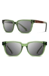 Shwood 'prescott' 52mm Acetate & Wood Sunglasses In Emerald/ Elm Burl/ Grey