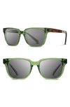 Shwood 'prescott' 52mm Polarized Sunglasses In Emerald/ Elm/ Grey