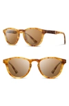Shwood 'francis' 49mm Sunglasses - Amber/ Elm/ Brown