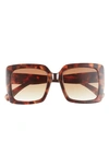 Bp. Oversize Classic Square Sunglasses In Tortoise