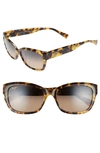 Maui Jim Plumeria 55mm Polarizedplus2(r) Cat Eye Sunglasses In Tokyo Tortoise/ Bronze