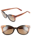 Maui Jim Ilima 53mm Polarizedplus2 Cat Eye Sunglasses In Gloss Black/ Bourbon Tortoise