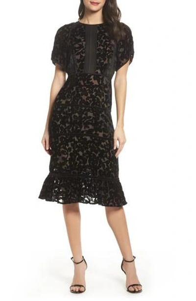 knee length dresses for ladies Oscar de La Renta Foxglove Lace Dress main image 0